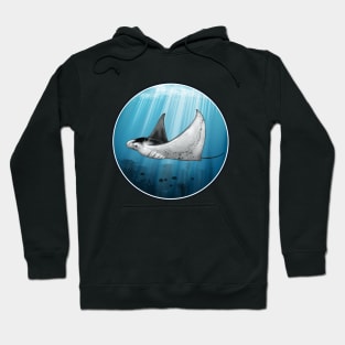 Manta Ray Hoodie